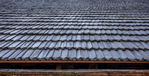 Roof Rejuvenation